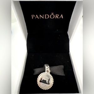PANDORA Seoul Charm - Silver (Brand new)